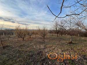 Plac - 2847 m2 - Krčedin!